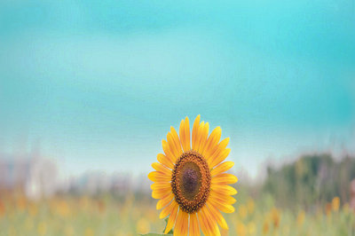 貴州師范大學在職研究生專業(yè)有哪些？